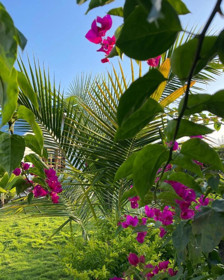 مبيت وإفطار Uroa Getaway المظهر الخارجي الصورة